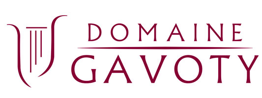 logo gavoty